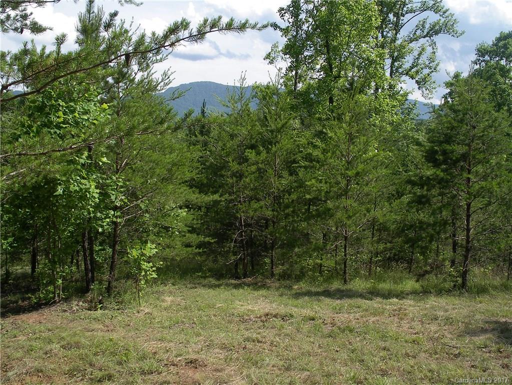 2-3 Parkway North Rd Mill Spring Mill Spring, NC 28756 - Photo 5 of 11 a view of a field with trees in the background