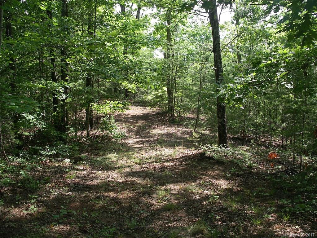 2-3 Parkway North Rd Mill Spring Mill Spring, NC 28756 - Photo 6 of 11 a view of a forest with trees in the background