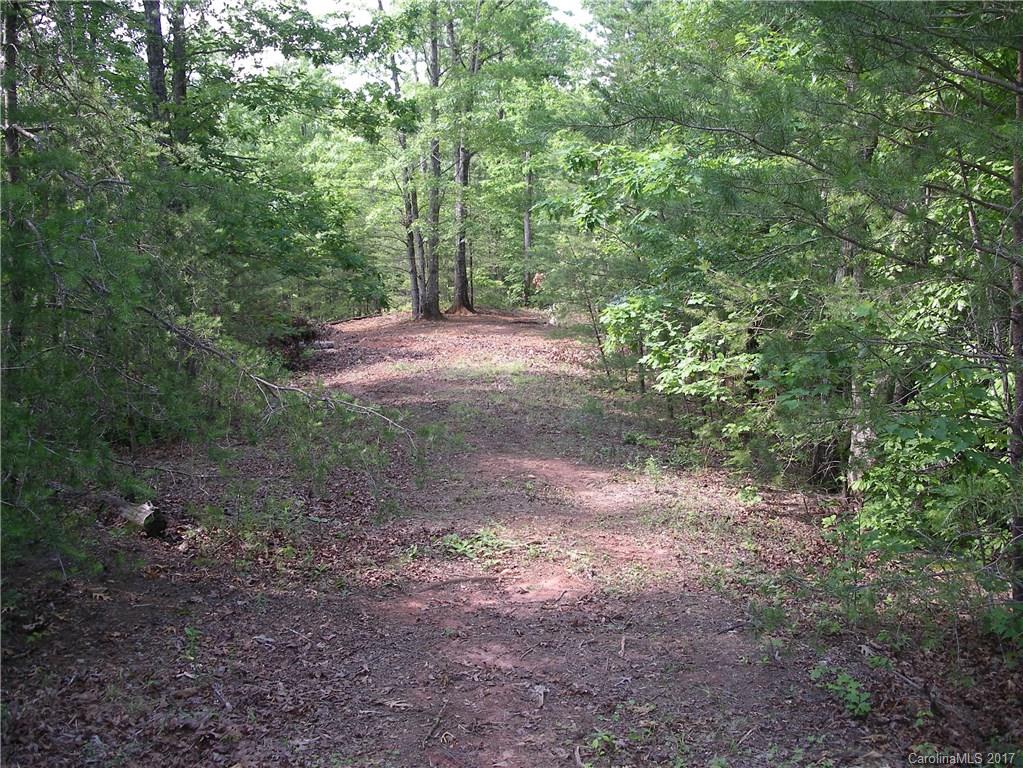 2-3 Parkway North Rd Mill Spring Mill Spring, NC 28756 - Photo 7 of 11 a view of a forest with trees in the background