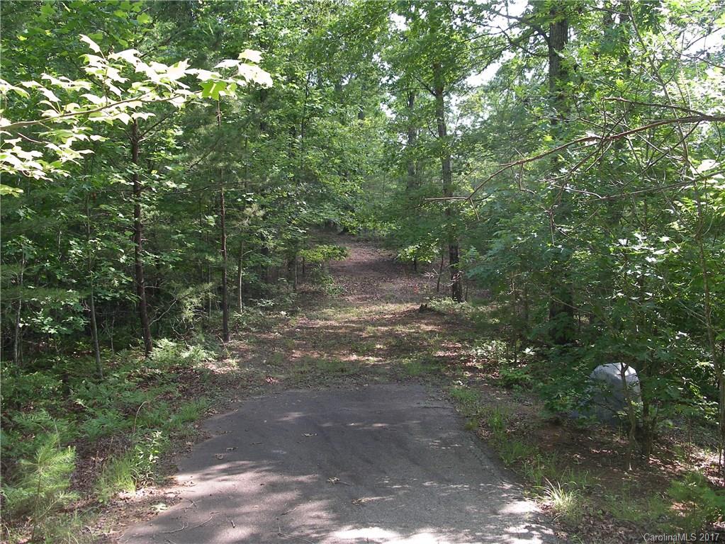 2-3 Parkway North Rd Mill Spring Mill Spring, NC 28756 - Photo 8 of 11 a view of a forest with trees