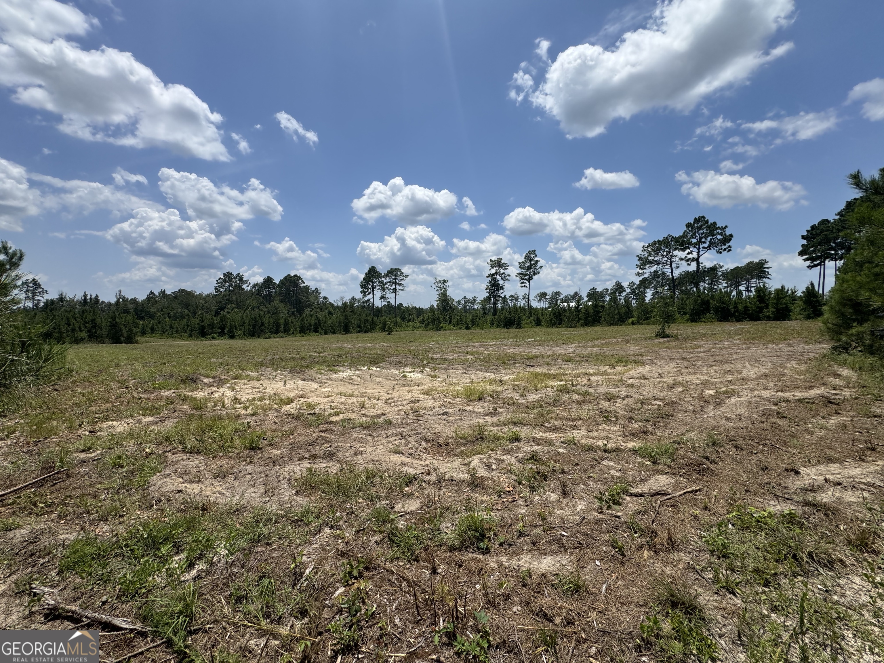 477 Keens Crossing Road East Dublin, GA 31027 - Photo 9 of 12
