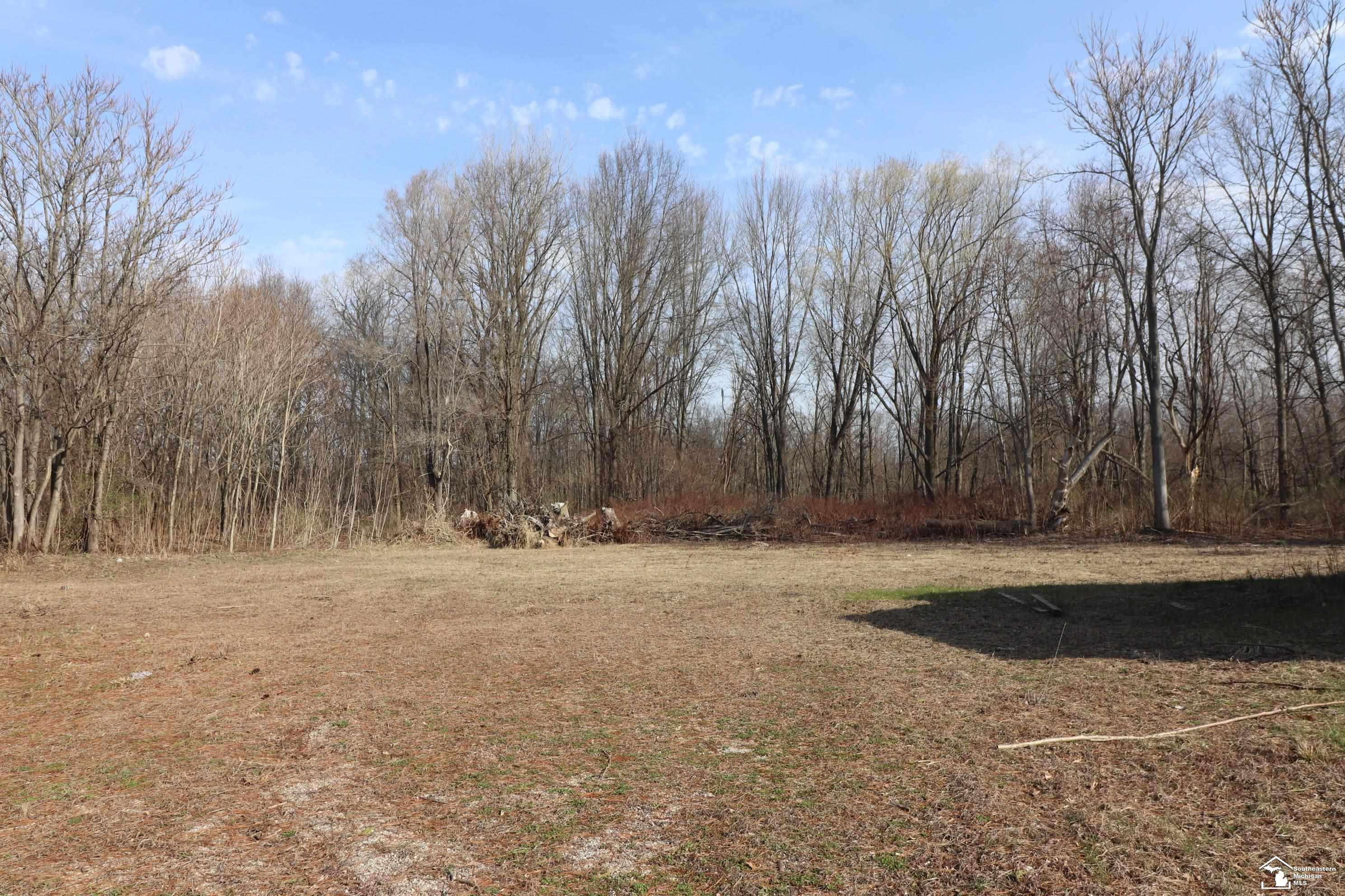 2630 West Temperance Road Temperance, MI 48182 - Photo 3 of 13