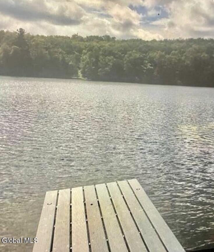 95 Pond View Way Petersburgh, NY 12138 - Photo 1 of 12 IMG_8710 2