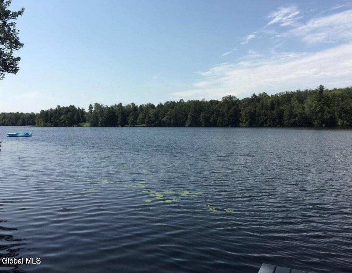 95 Pond View Way Petersburgh, NY 12138 - Photo 2 of 12 IMG_8707