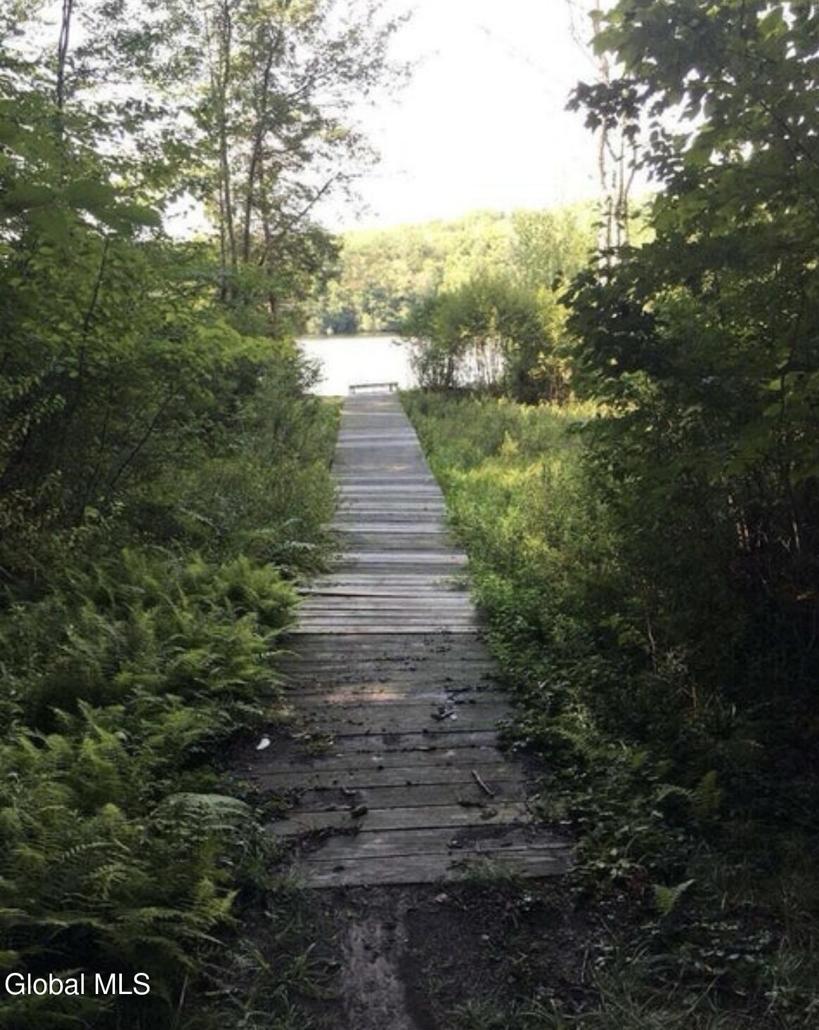 95 Pond View Way Petersburgh, NY 12138 - Photo 4 of 12 IMG_8709