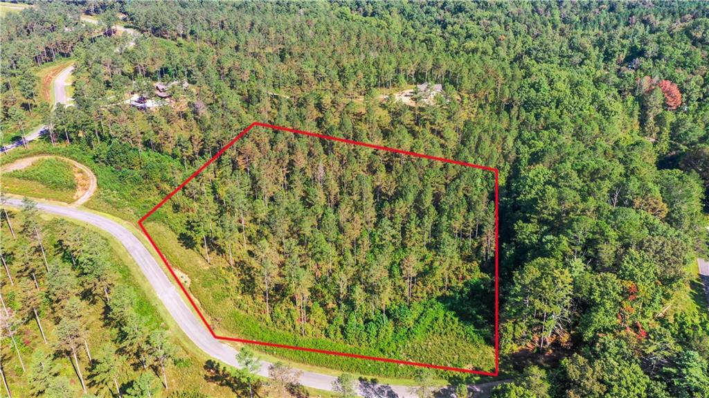 13 Poetic Court Ellijay, GA 30540 - Photo 2 of 10 a view of a yard with a plant