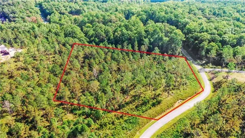 a view of a garden with flowers