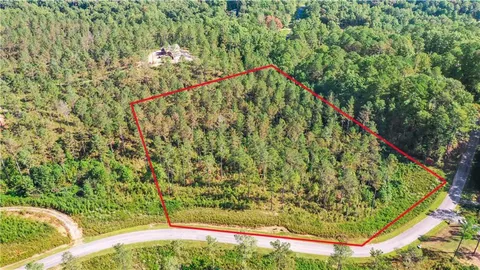 a view of a yard with plants