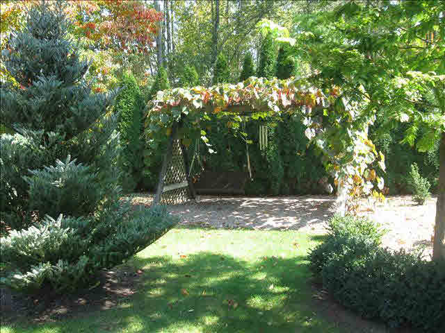 11286 Secor Road Temperance, MI 48182 - Photo 4 of 21 Rear Yard