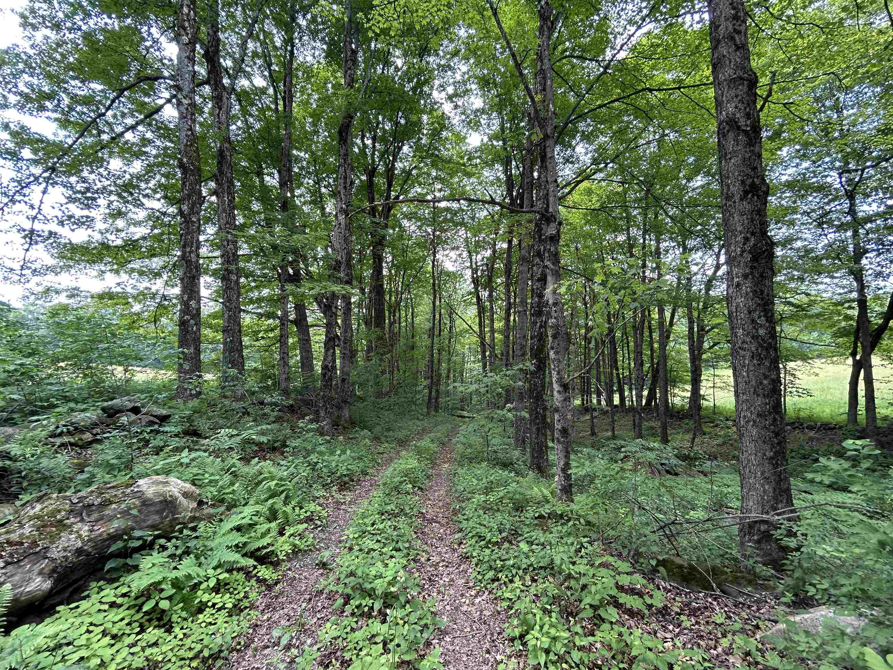 6036 Jacksonville Stage Road Halifax, VT 05358 - Photo 21 of 40