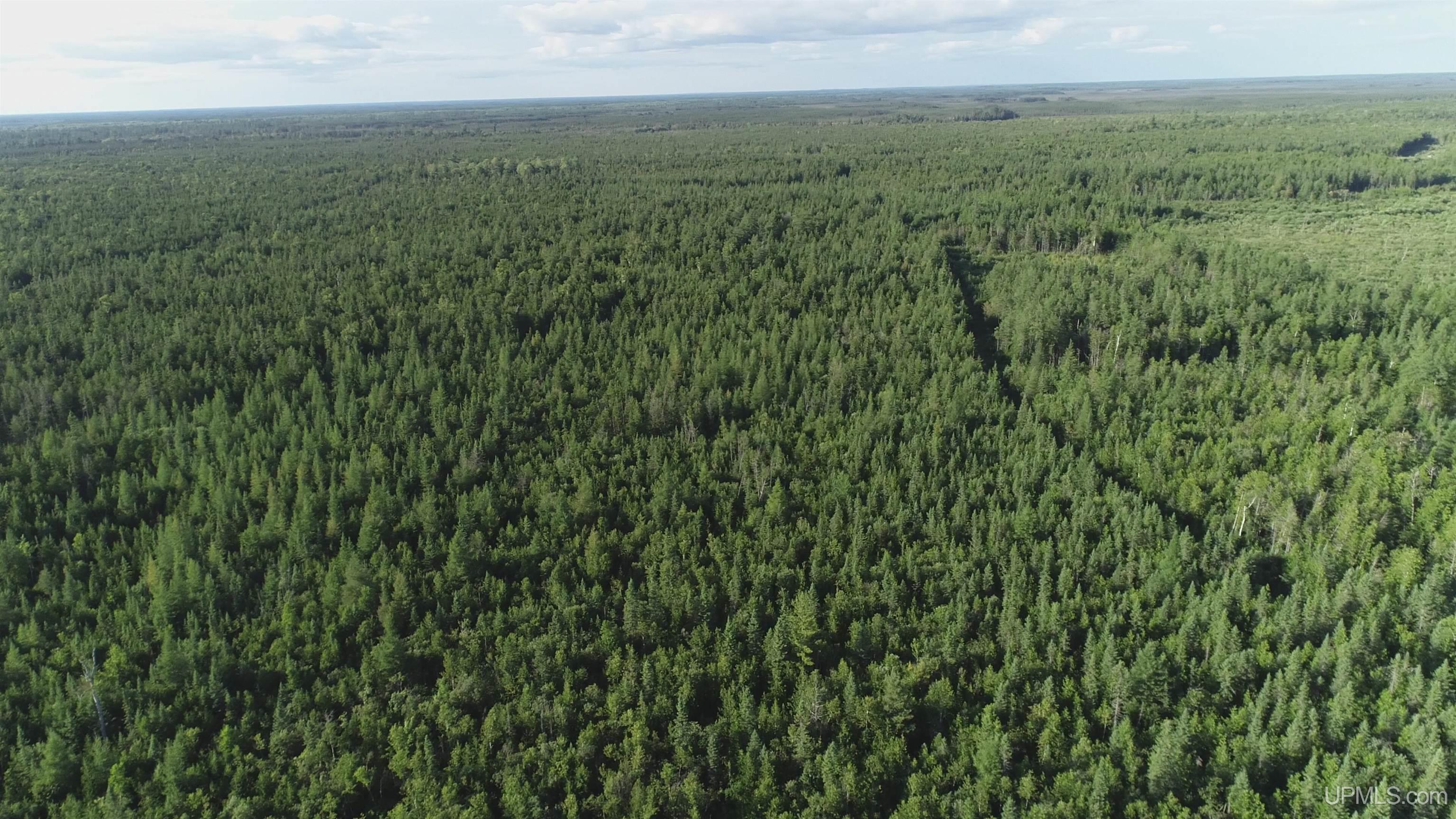 332-acres River Road Gulliver, MI 49840 - Photo 9 of 14
