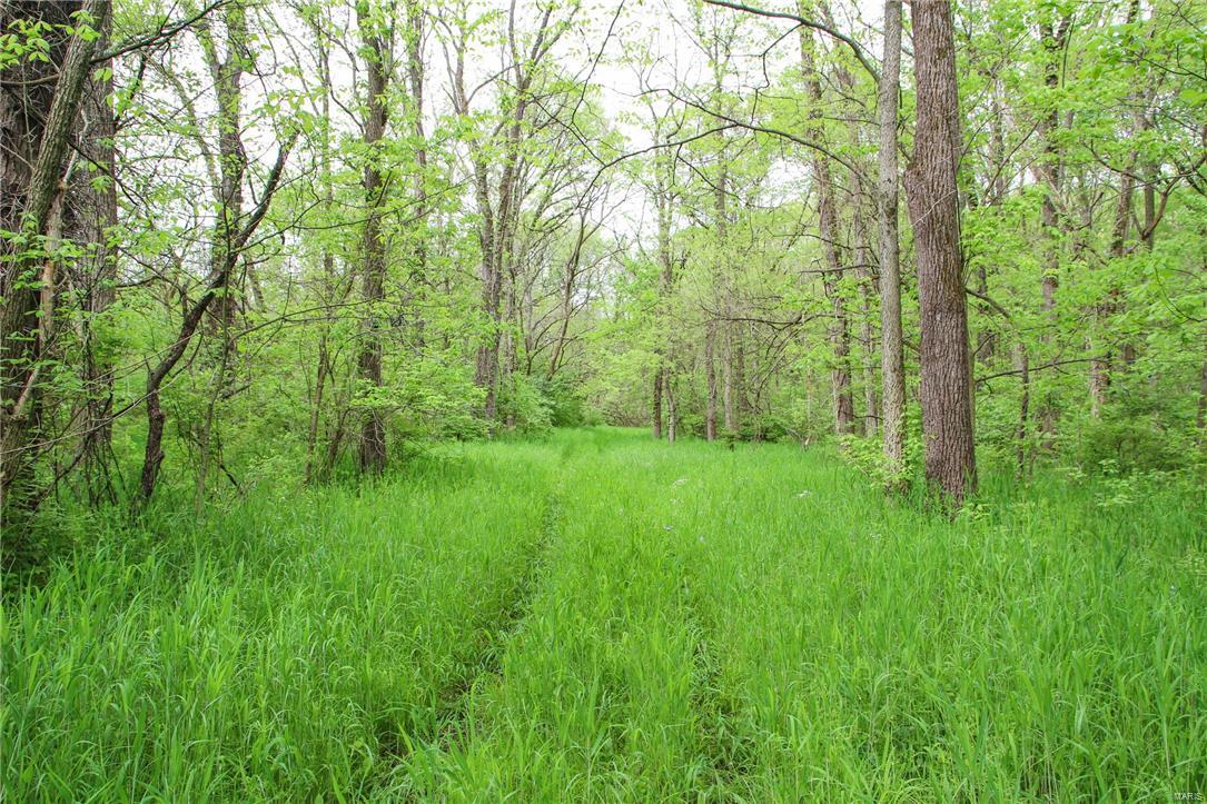 34740 Prairie Dell Road Piasa, IL 62079 - Photo 14 of 58