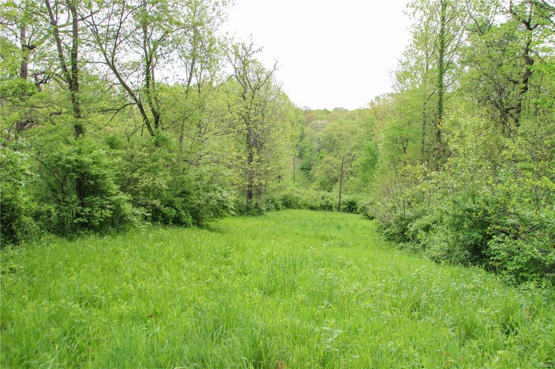 34740 Prairie Dell Road Piasa, IL 62079 - Photo 3 of 58