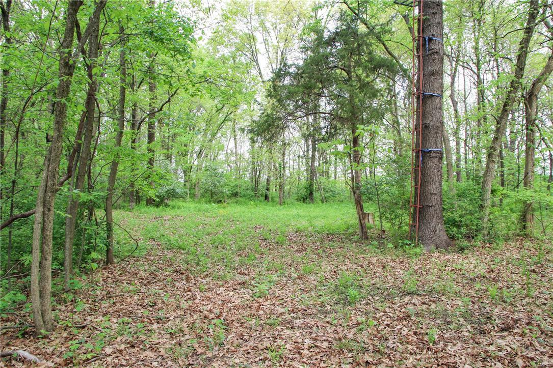 34740 Prairie Dell Road Piasa, IL 62079 - Photo 8 of 58