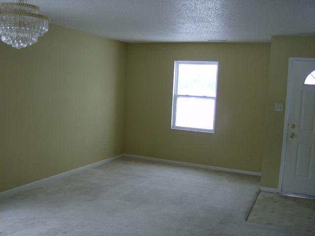 8824 Cardinal Flower Lane Indianapolis, IN 46231 - Photo 5 of 5