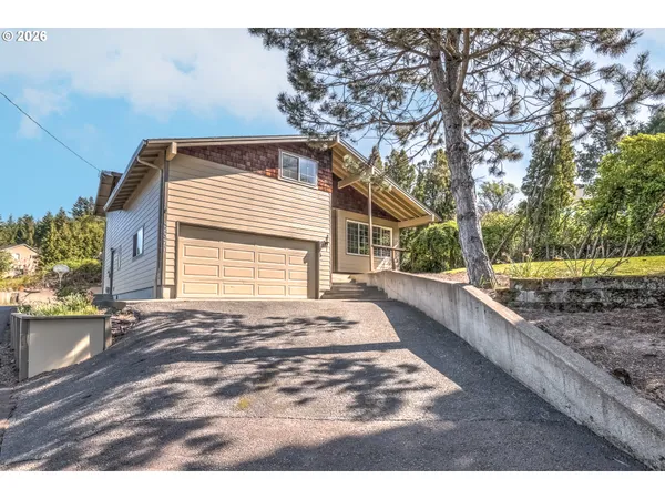 a view of a backyard with large trees and wooden fence