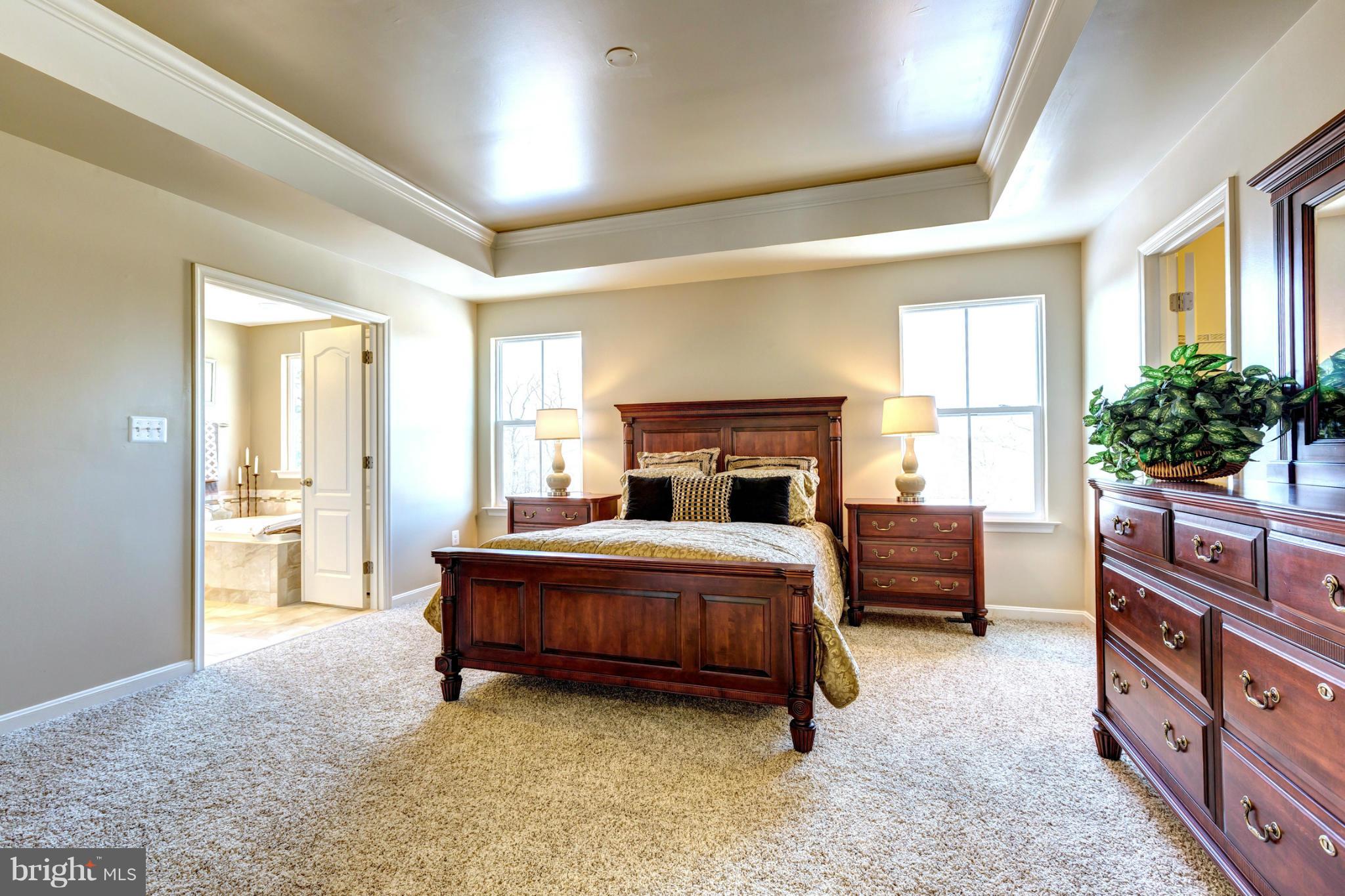10800 Pfeffers Road Kingsville, MD 21087 - Photo 17 of 30 Deluxe Master Suite With Tray Ceilings