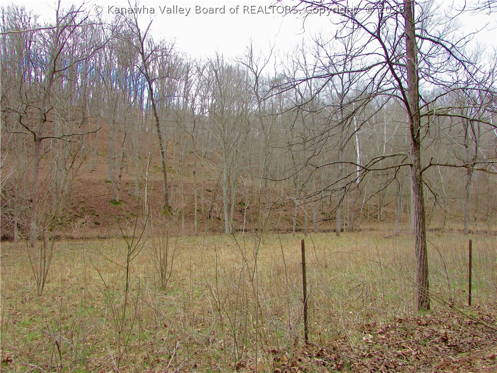 0 Hughey Fork Road Fraziers Bottom, WV 25082 - Photo 1 of 3 Gallery Image 1
