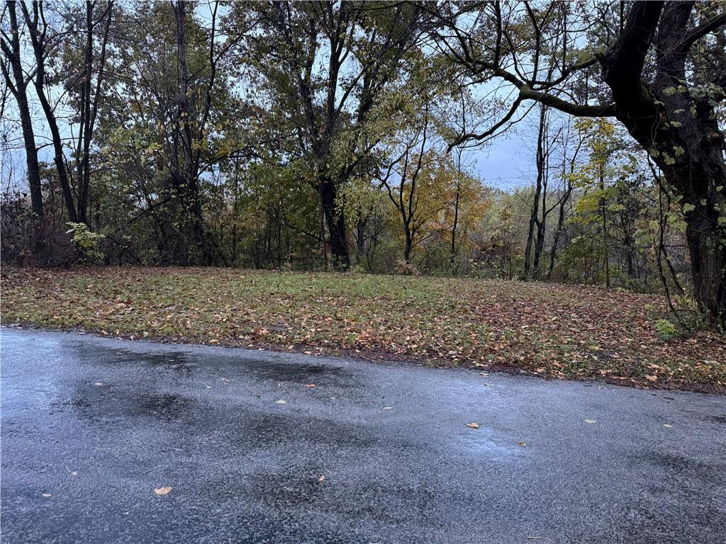 526 East River Road Edinburg, PA 16116 - Photo 34 of 39 a view of a yard with trees