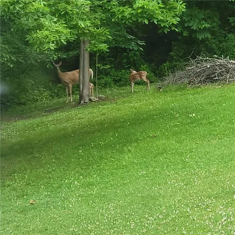 a view of a wooden fence and a bench