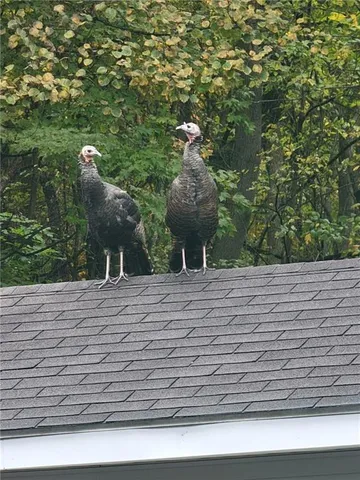 a view of a yard in a yard