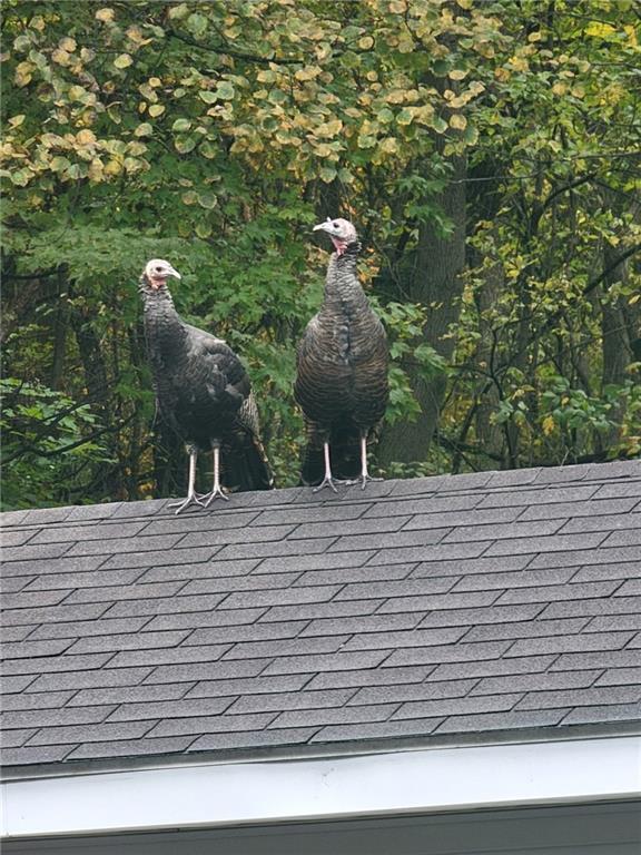 526 East River Road Edinburg, PA 16116 - Photo 38 of 39 a front view of a house with a yard