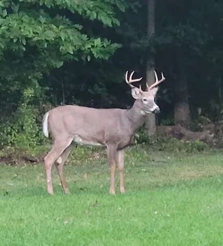 $320,000 | 526 East River Road, Edinburg, PA 16116