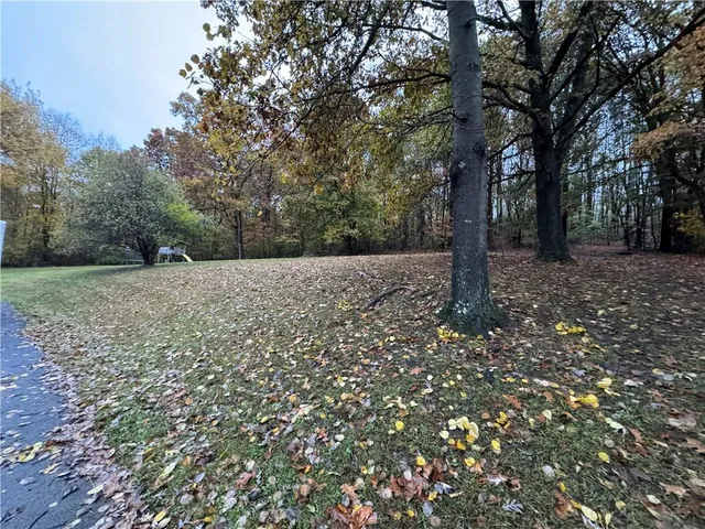 a view of a forest with trees