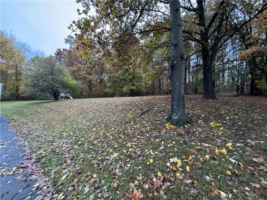 526 East River Road Edinburg, PA 16116 - Photo 7 of 39 a view of a forest with trees