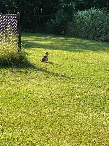 $650,000 | 21066 Malibu Avenue, Prior Lake, MN 55372