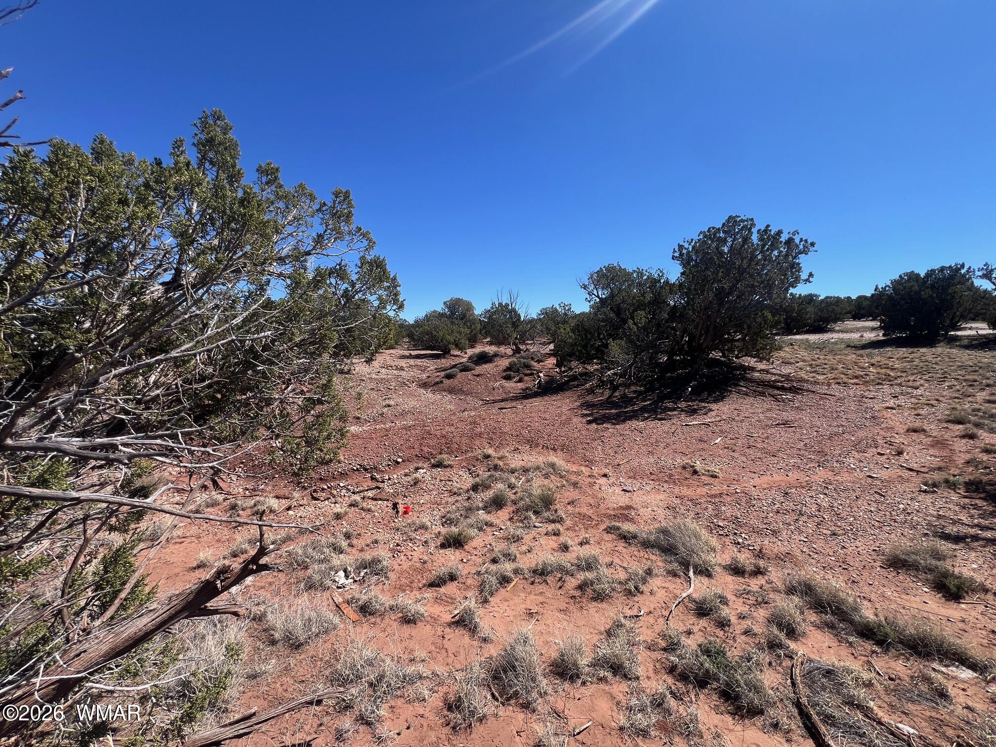 4252 Colt Road Snowflake, AZ 85937 - Photo 9 of 28