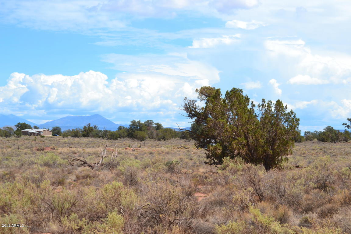 556 Highgrove Road, Unit 73 Williams, AZ 86046 - Photo 3 of 4 20180830210329731769000000-o