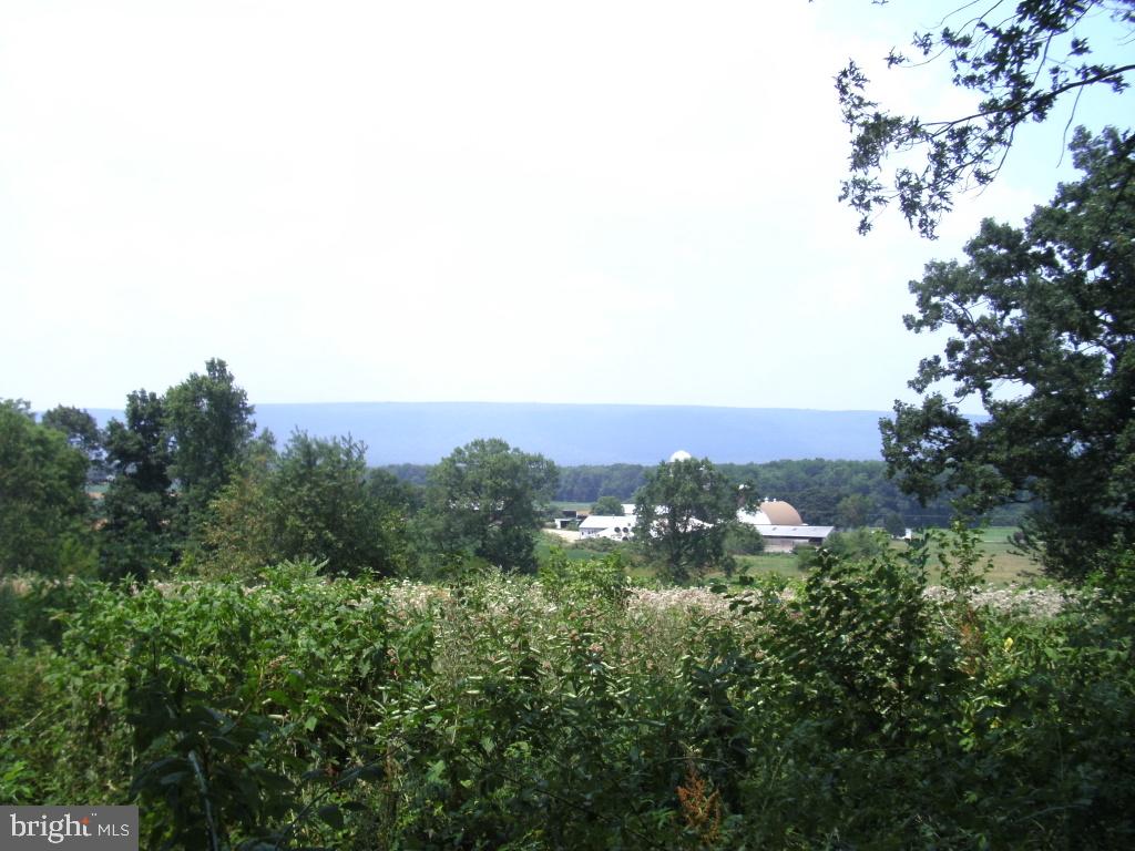 5327 4 Point Road Bethel, PA 19507 - Photo 1 of 2 Gallery Image 1