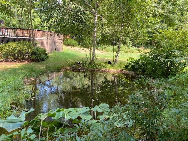 173 Union Road Belmont, NH 03220 - Photo 5 of 35 Gallery Image 5