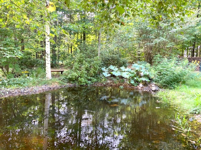 173 Union Road Belmont, NH 03220 - Photo 6 of 35 Gallery Image 6