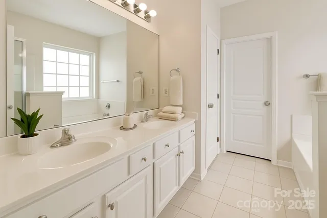 a bathroom with a sink a mirror and a shower
