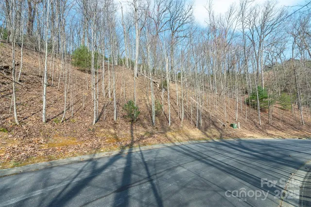 $80,000 | 0 Shining Rock Path, Unit 12, Horse Shoe, NC 28742