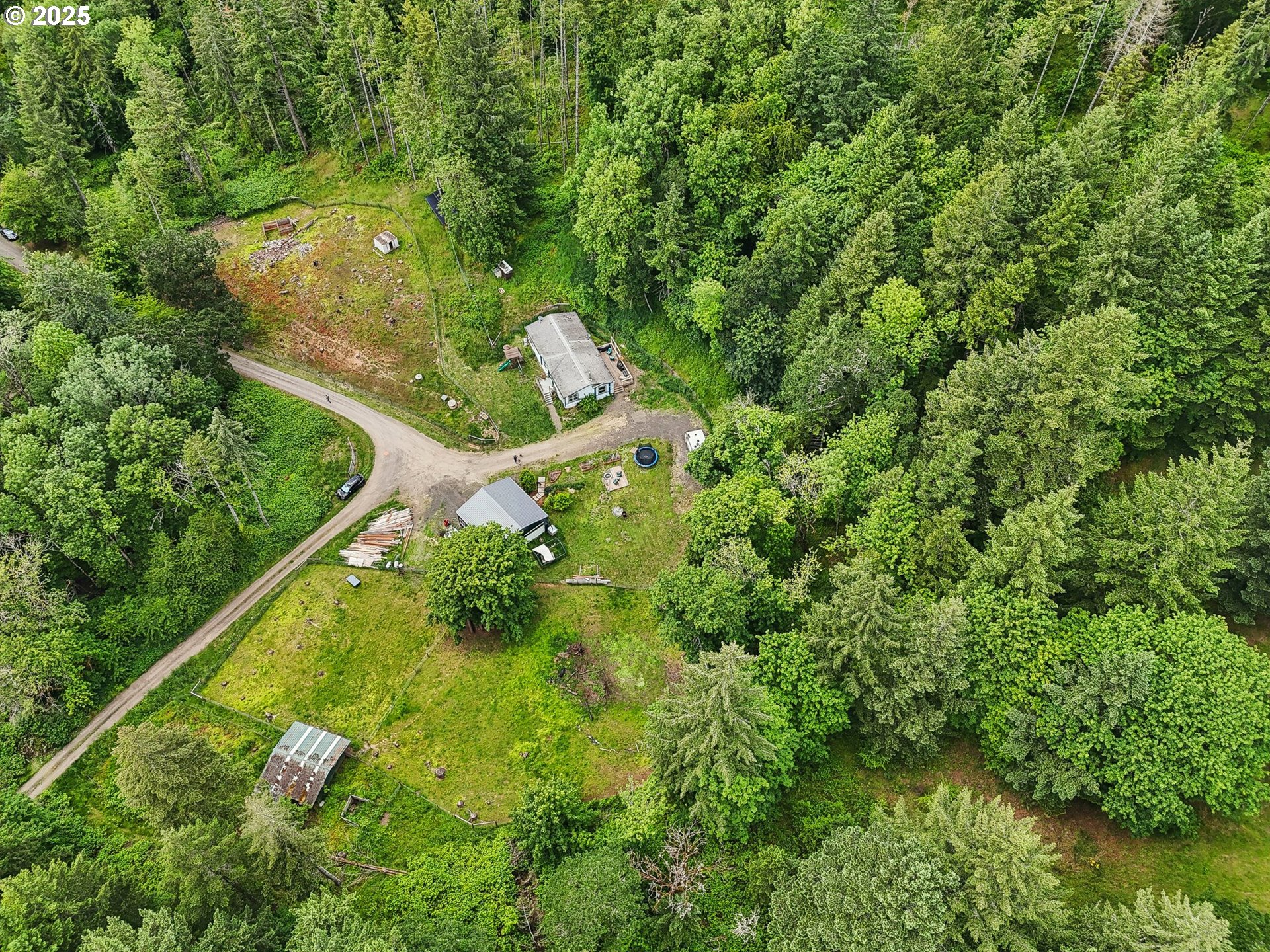 39585 Southwest Lasalle Road Gaston, OR 97119 - Photo 35 of 44 an aerial view of a house with a yard and large trees