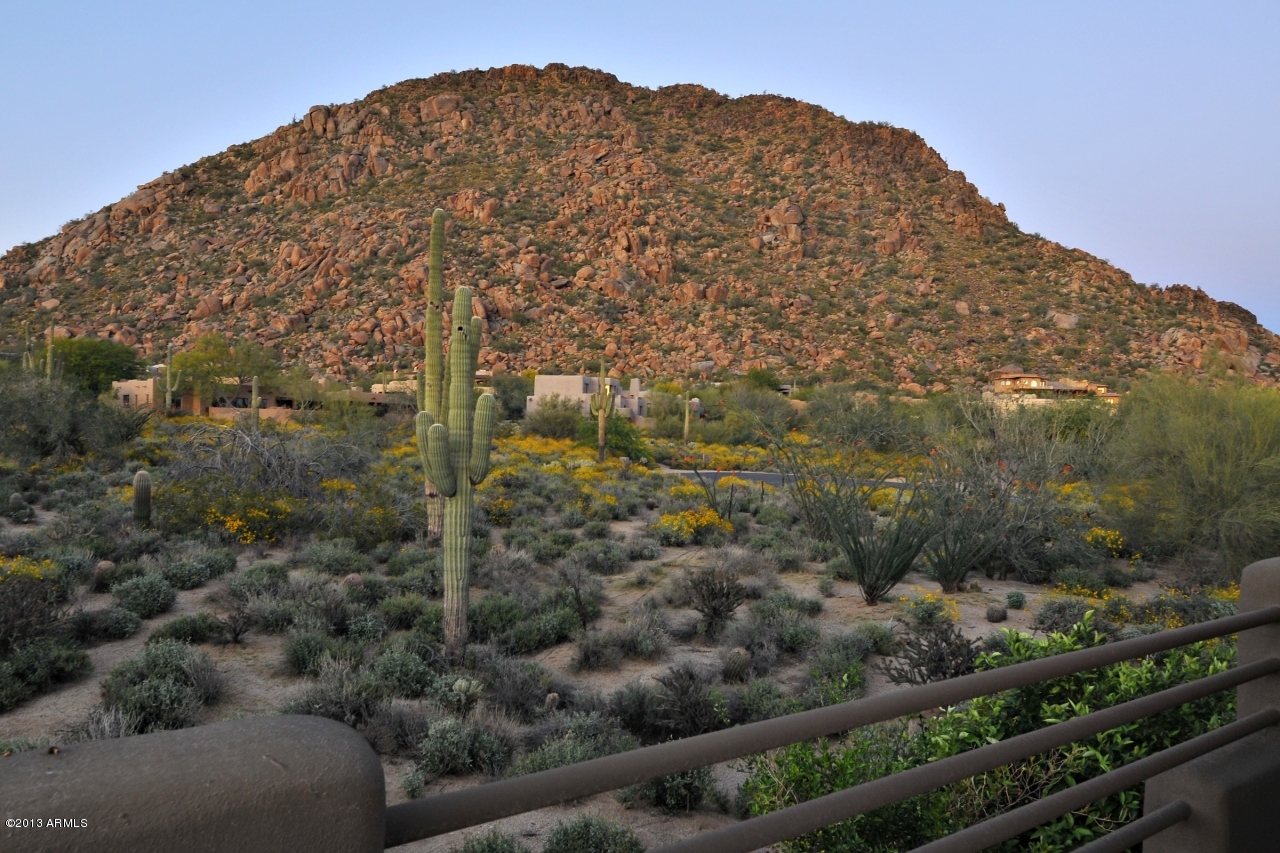 10040 East Happy Valley Road, Unit 461 Scottsdale, AZ 85255 - Photo 45 of 101 View Deck