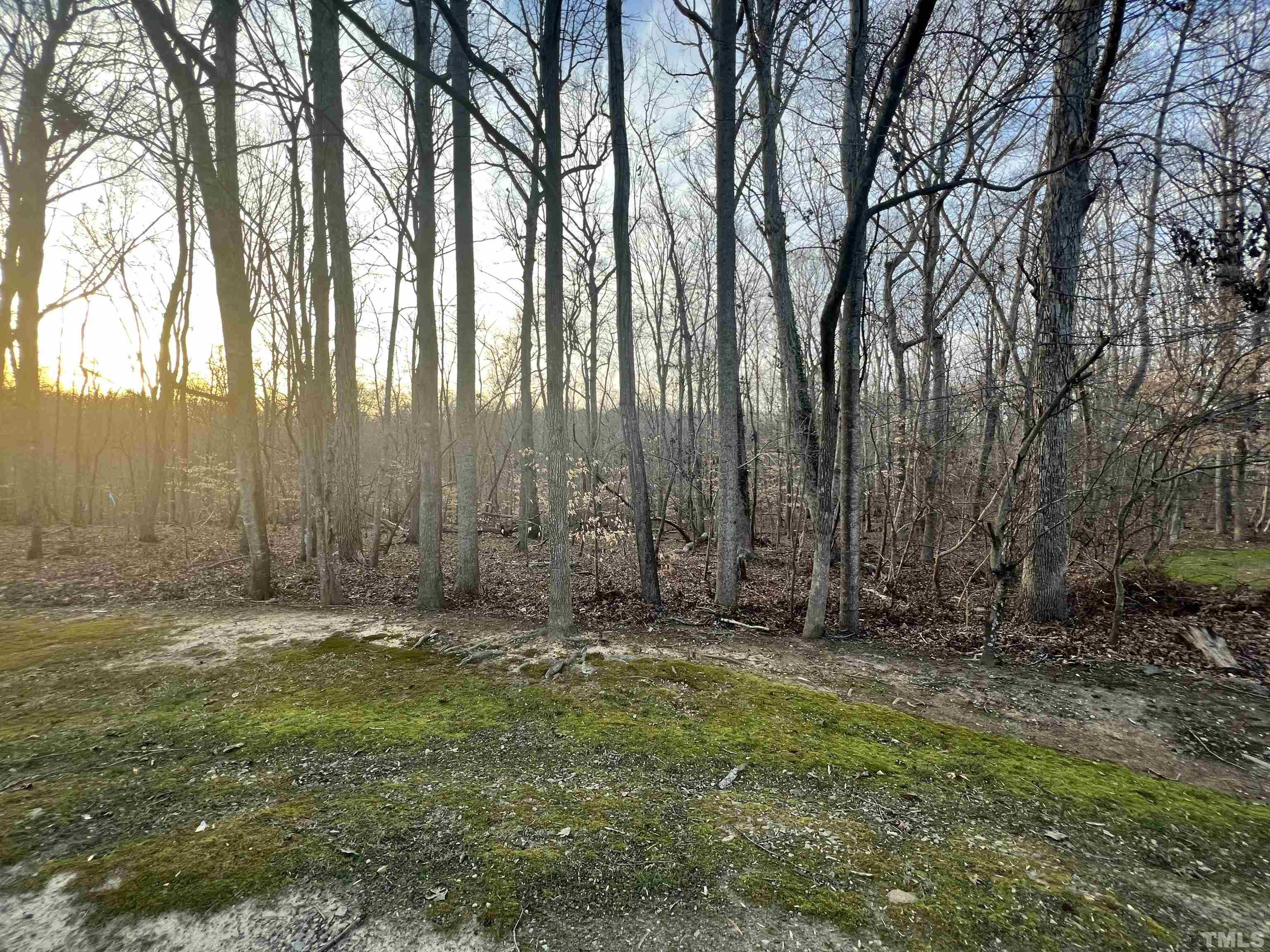 35 Eagle Drive Durham, NC 27712 - Photo 2 of 4 a view of outdoor space with trees