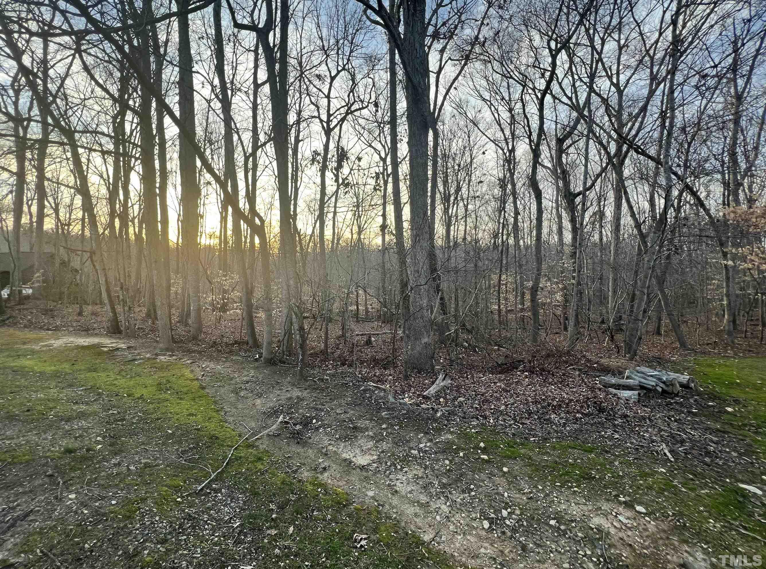 35 Eagle Drive Durham, NC 27712 - Photo 3 of 4 a view of outdoor space and tree