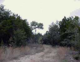 2339 Sandy Point Road Wimberley, TX 78676 - Photo 1 of 1 Gallery Image 1