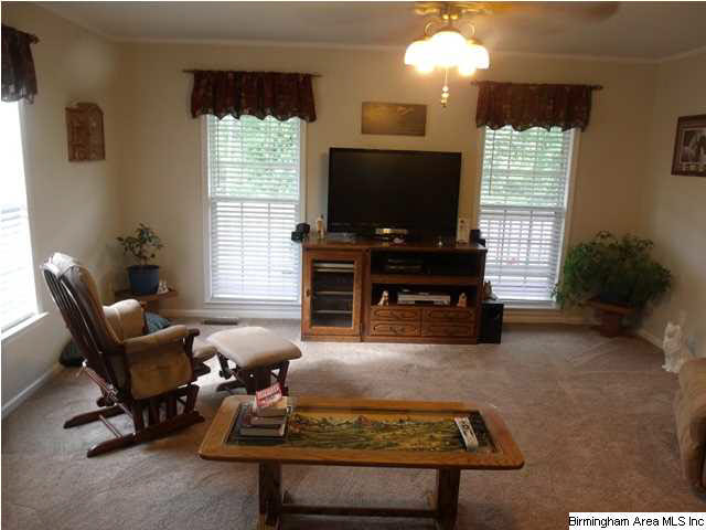 46615 Highway 231 South Oneonta, AL 35121 - Photo 25 of 28