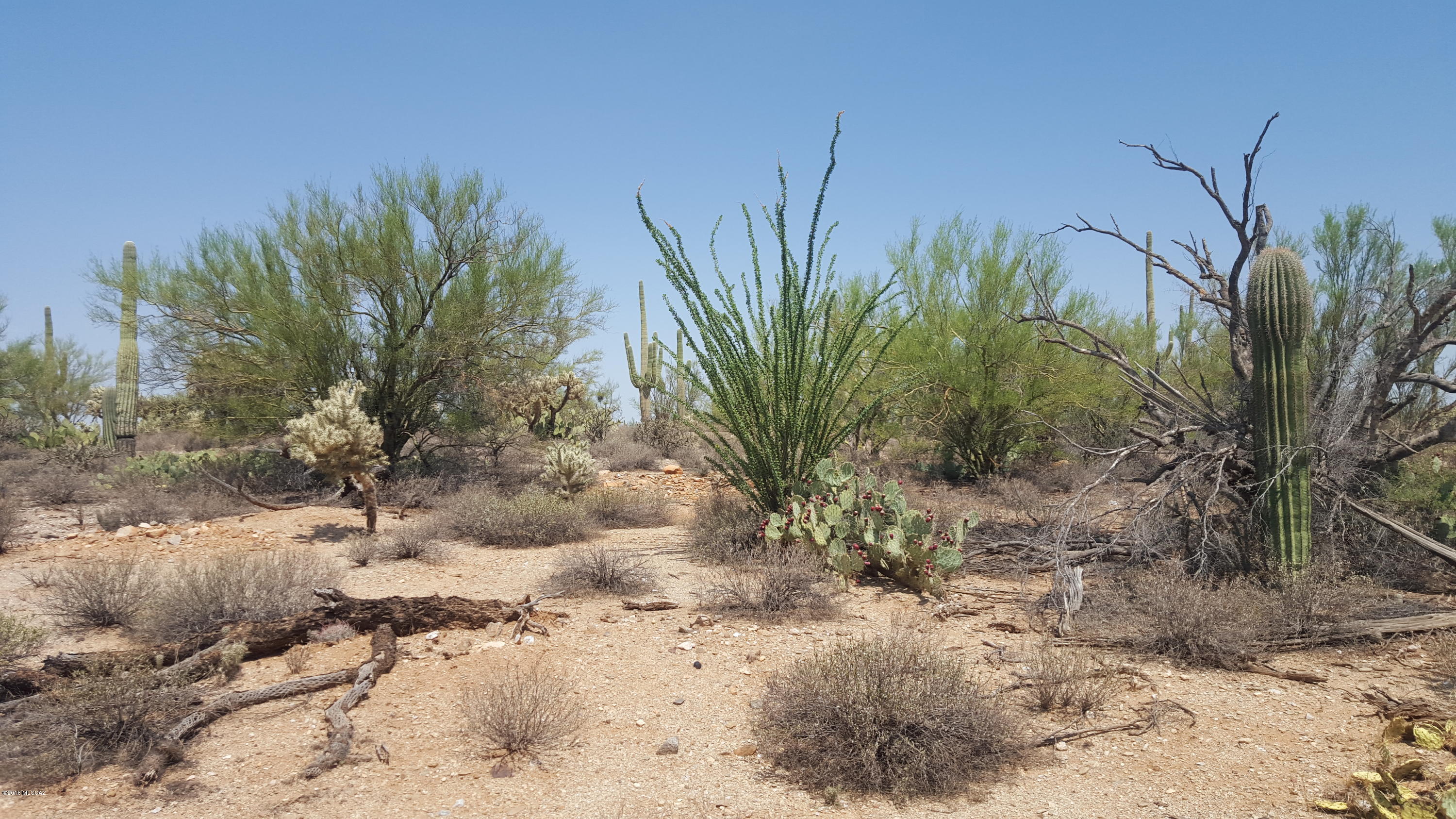 South Mule Deer Road Marana, AZ 85658 - Photo 2 of 15