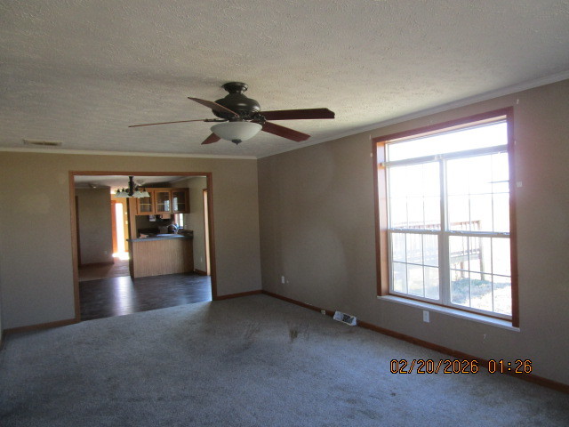 2397 North Benton Lane Ina, IL 62846 - Photo 12 of 14