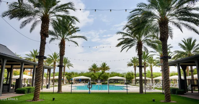 a view of three palm trees