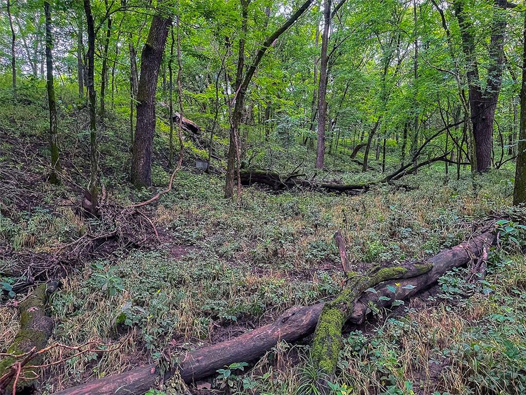 Tbd Road Rich Hill, MO 64779 - Photo 6 of 19