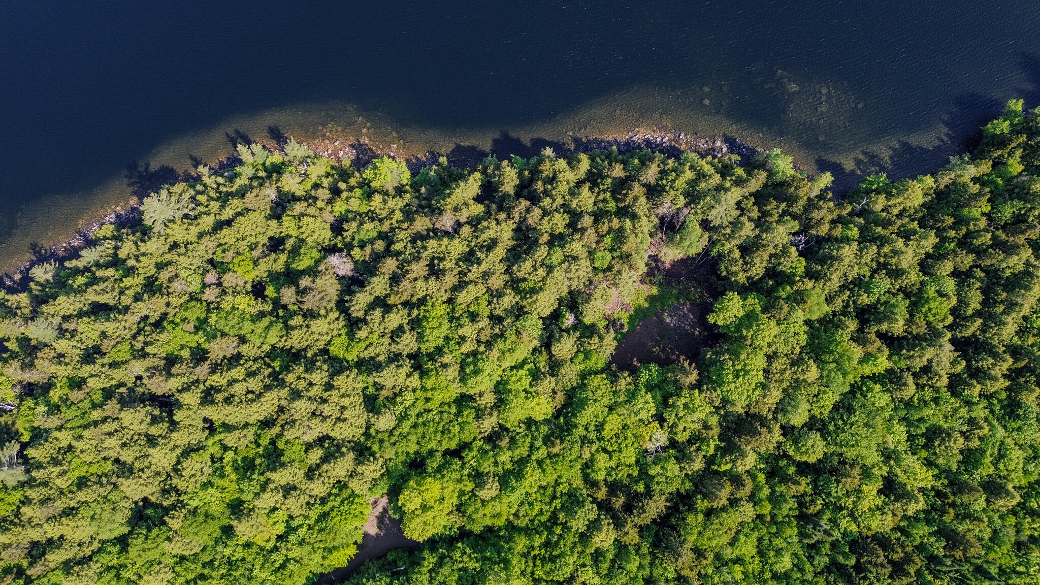 Lot 9 Highland Road Meddybemps, ME 04657 - Photo 12 of 12 DJI_0355