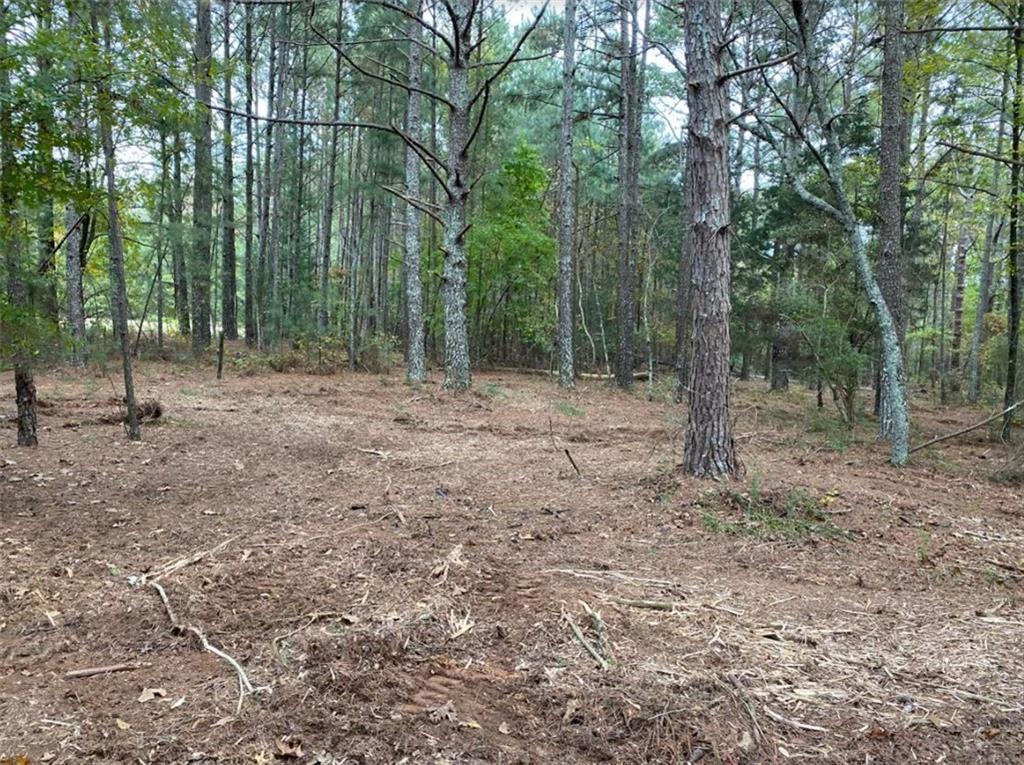 1587 Gratis Road Monroe, GA 30656 - Photo 1 of 1 a view of outdoor space with trees