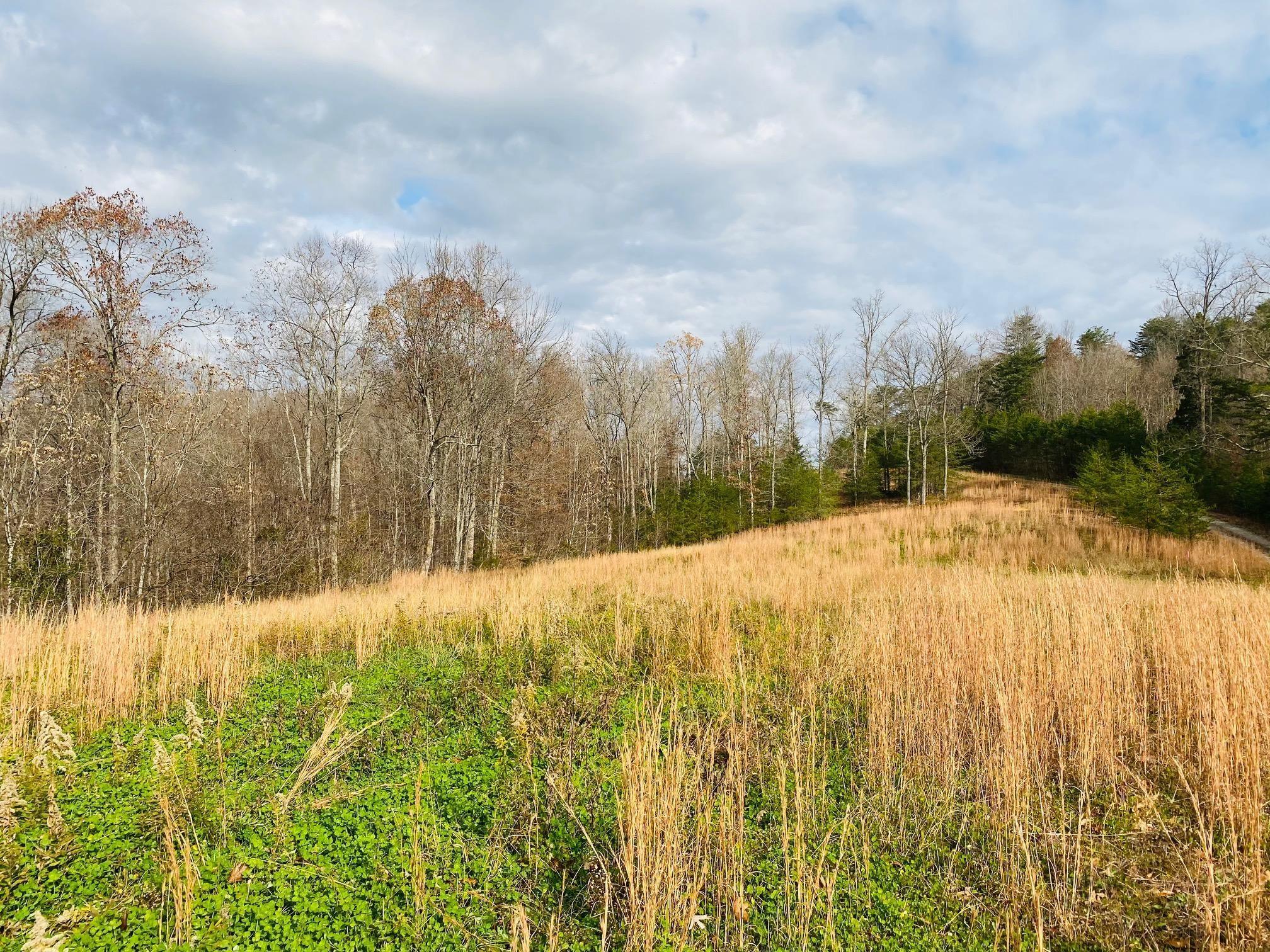 2 Stearns Holw Road Monticello, KY 42633 - Photo 12 of 25 20201123190303080043000000-o